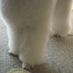神頼み