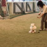チャンピオン登録への道(?)公開訓練
