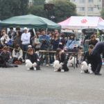 2011年10月30日東京東クラブ連合展@明治公園