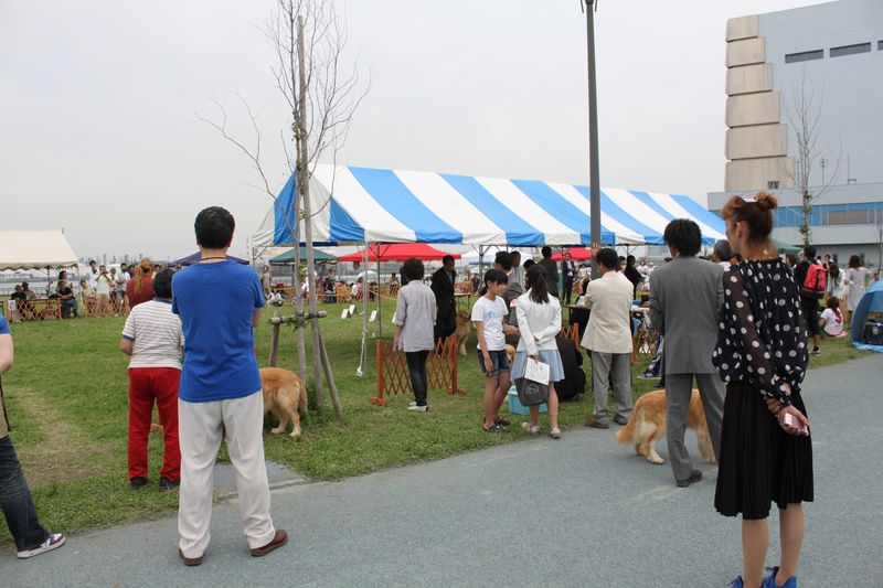 2011年6月12日ヨコハマベイサイドドッグクラブ展＠川崎市東扇島公園多目的広場
